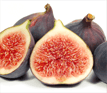 Norland Fig Orchard